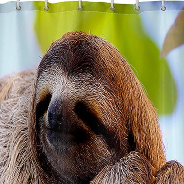 Sloth - Print Shower Curtain UK