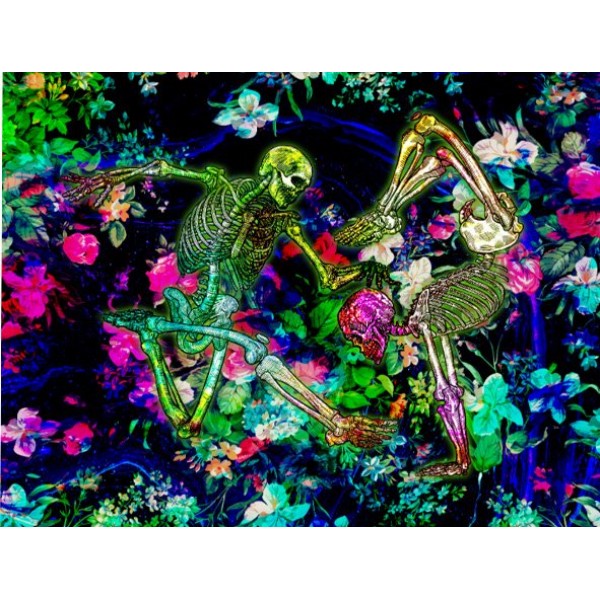 Skull - UV Reactive Tapestry with Wall Hanging Accessories UK