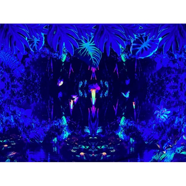 Landscape - UV Reactive Tapestry with Wall Hanging Accessories UK