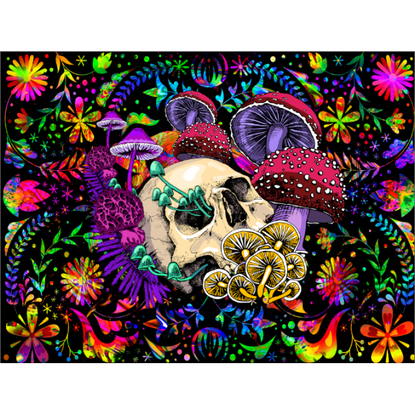 Skull - UV Reactive Tapestry with Wall Hanging Accessories UK