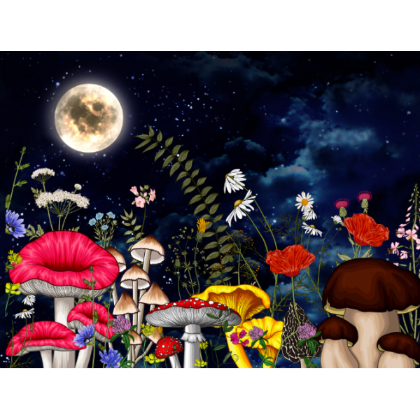 Mushroom - UV Reactive Tapestry with Wall Hanging Accessories UK