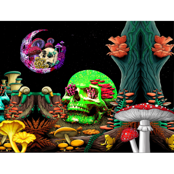 Skull - UV Reactive Tapestry with Wall Hanging Accessories UK