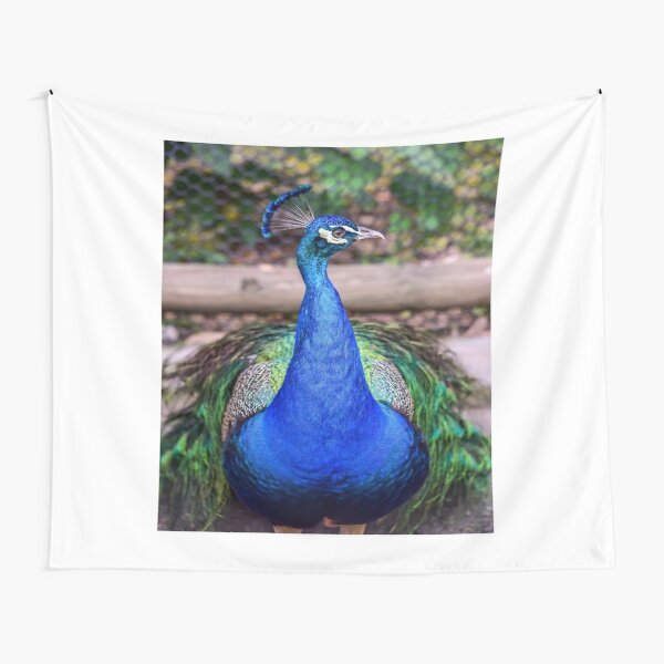Peacock - Printed Tapestry UK