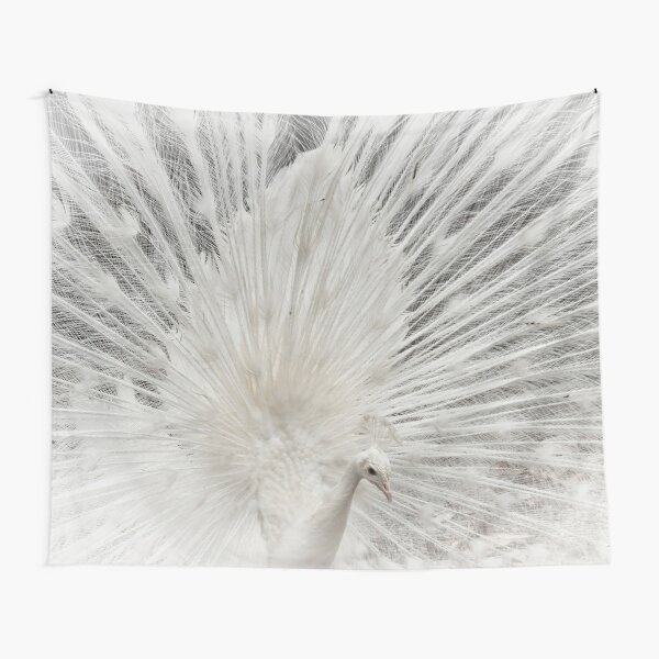 Peacock - Printed Tapestry UK